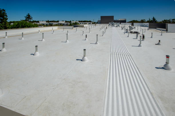Best Asphalt Shingle Roofing  in Keystone Heights, FL